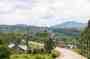 A road winding through the hills of rural Rwanda, farmland and eucalyptus trees on either side.